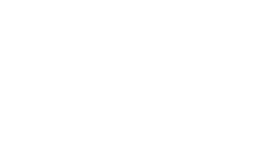 Visuel de branche blanche avec 2 feuilles, inspirée du logo de johanna sandretto