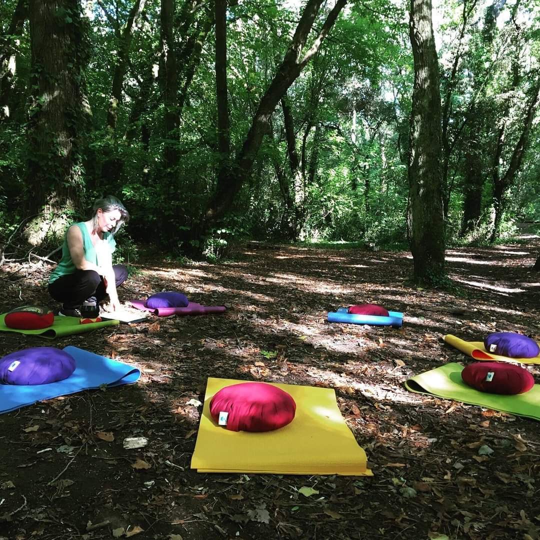 Photo d'un scéance collective en pleine nature avec Johanna Sandretto. Yoga méditation