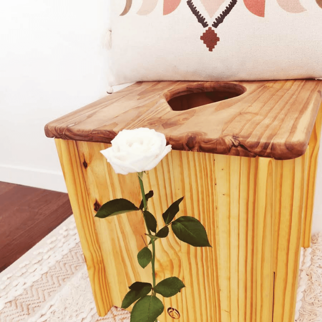 Chaise de yonisteam avec son plaid et une rose